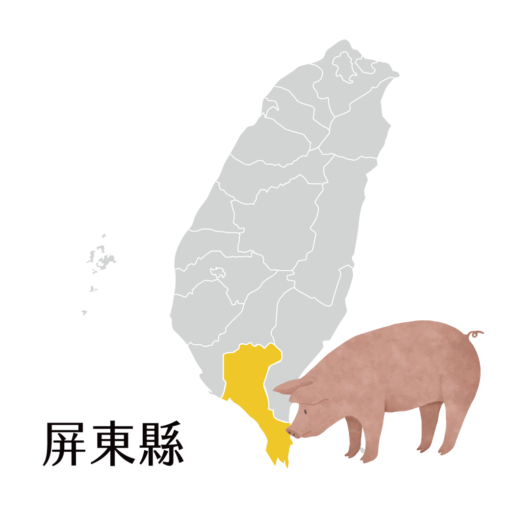 屏東的臺灣豬
