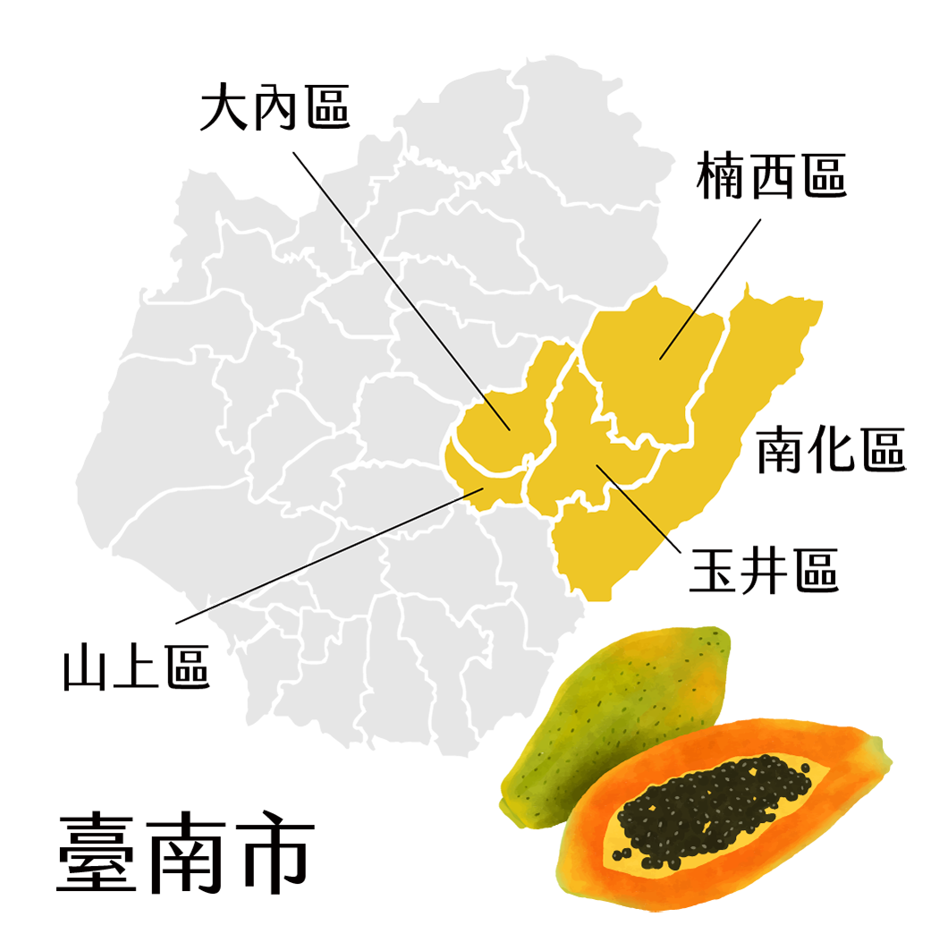 臺南市木瓜