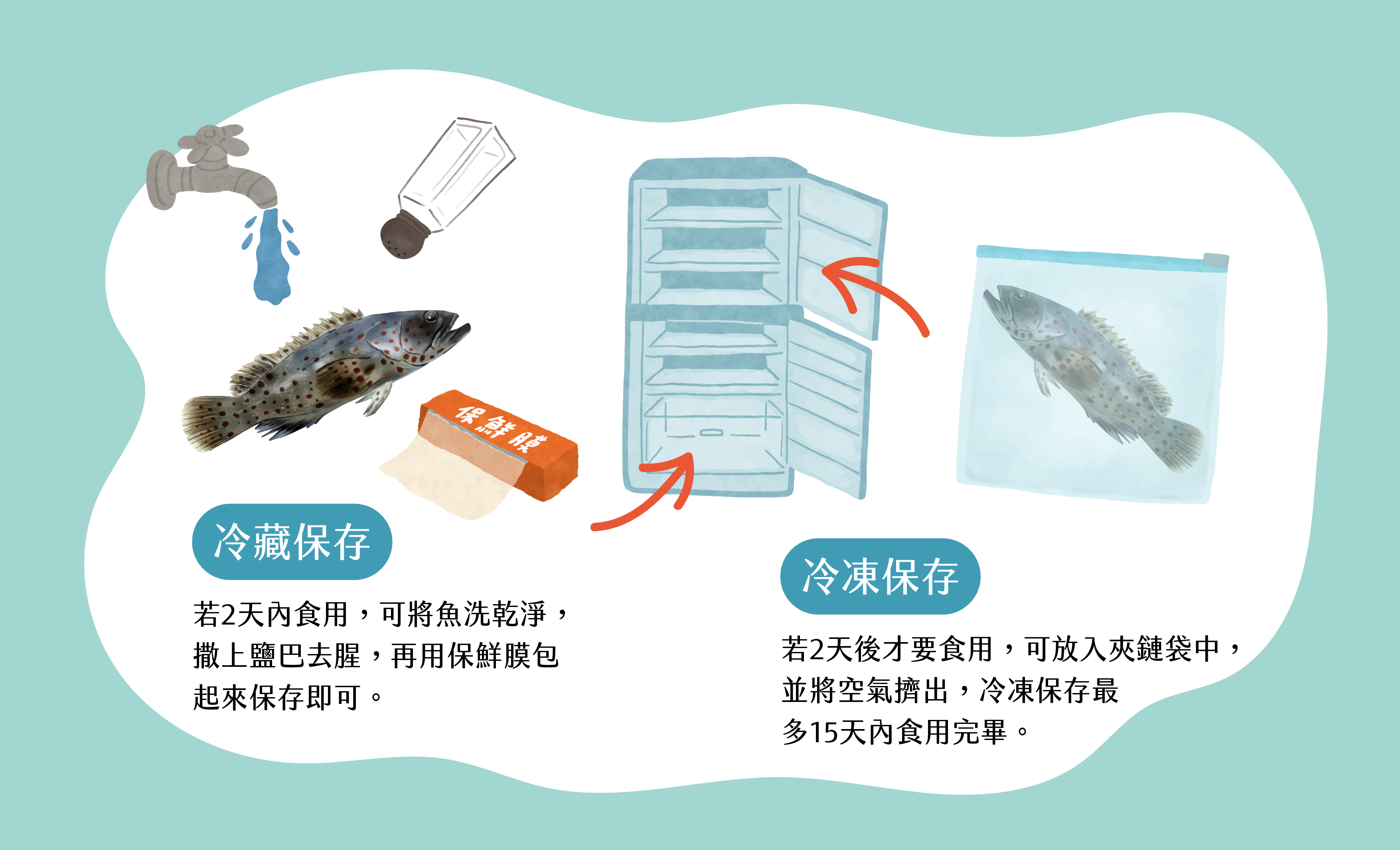 石斑魚的保存方法