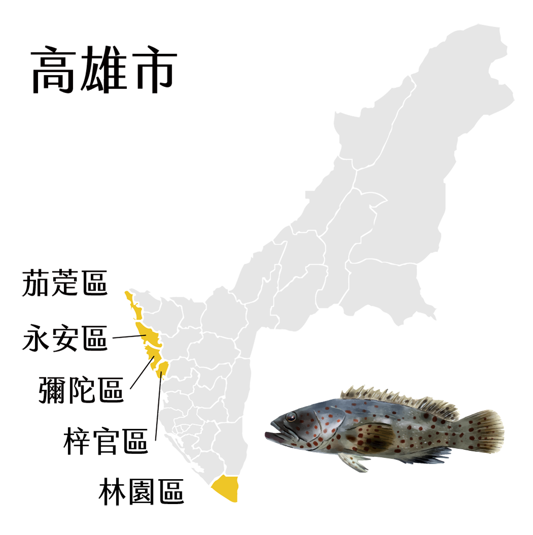 永安區石斑魚
