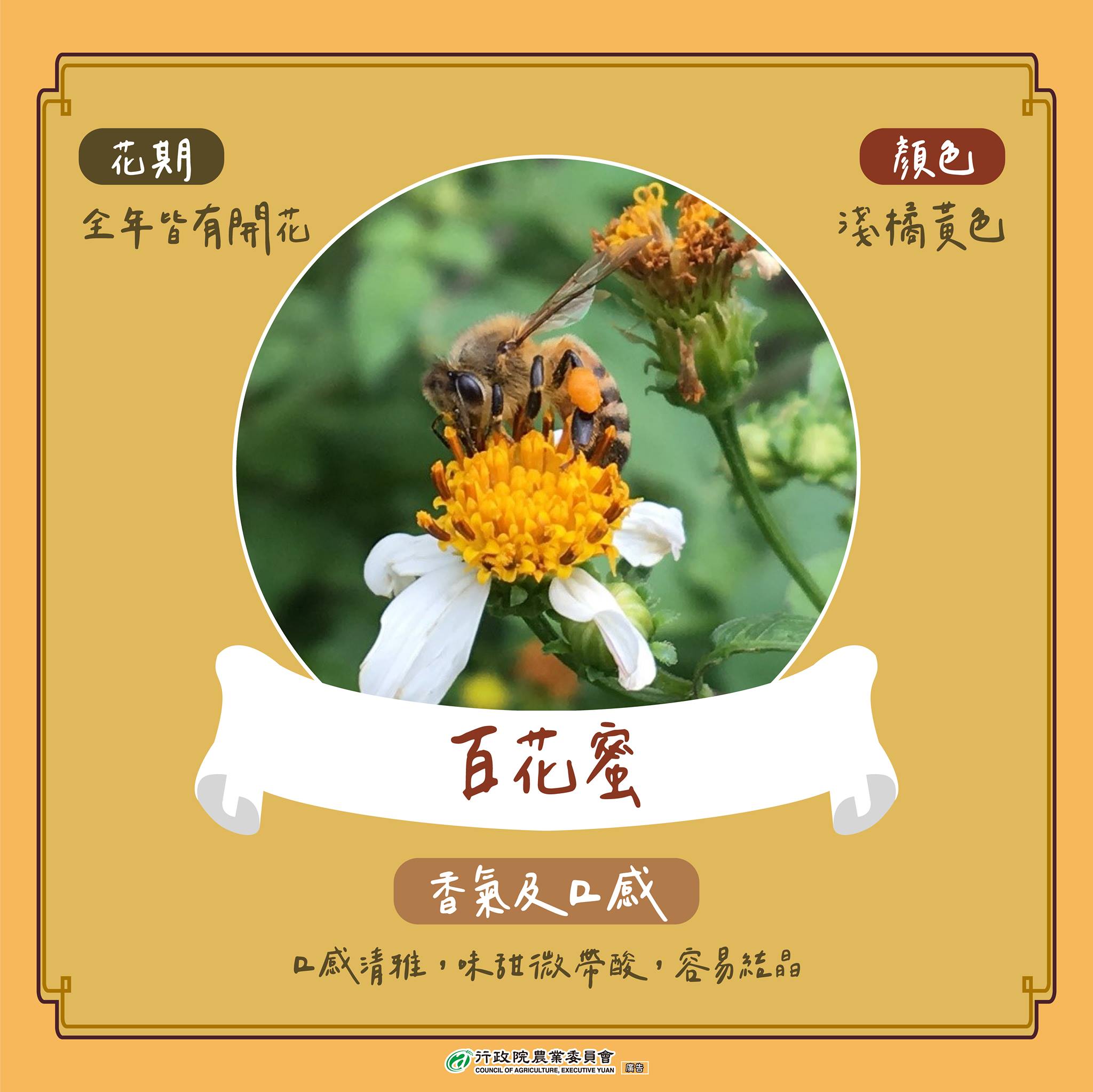 蜂蜜5