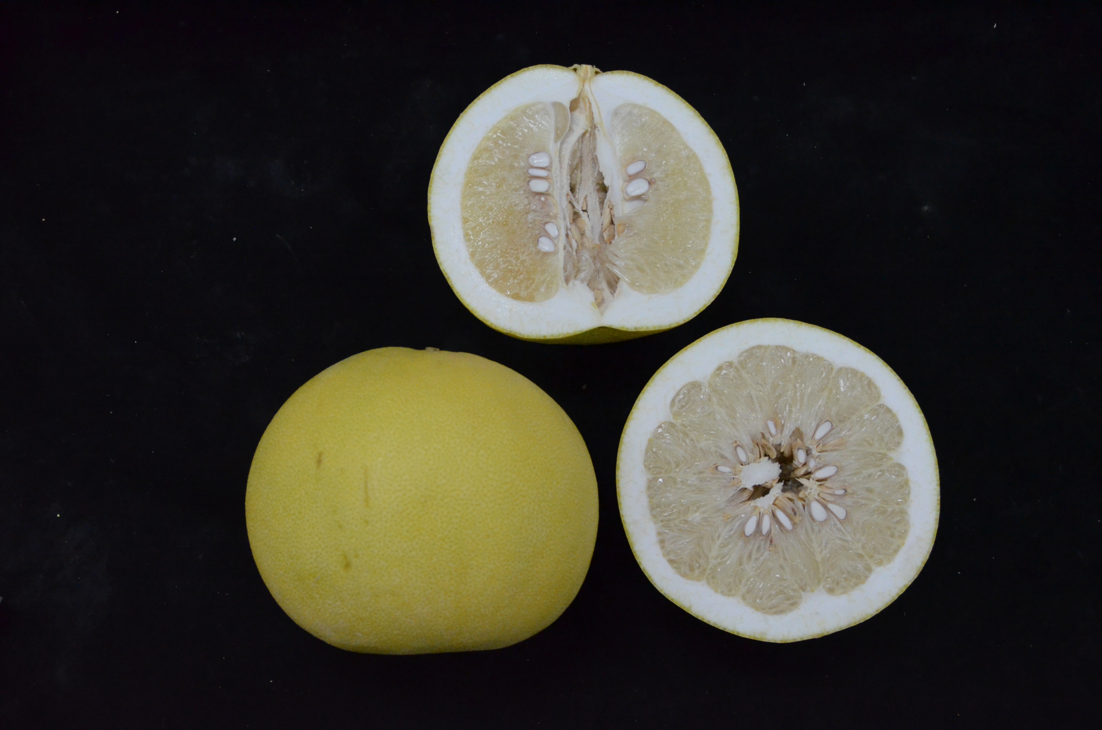 大白柚滋味誘人﹅果肉粒粒晶瑩透，且富含膳食纖維及維他命C