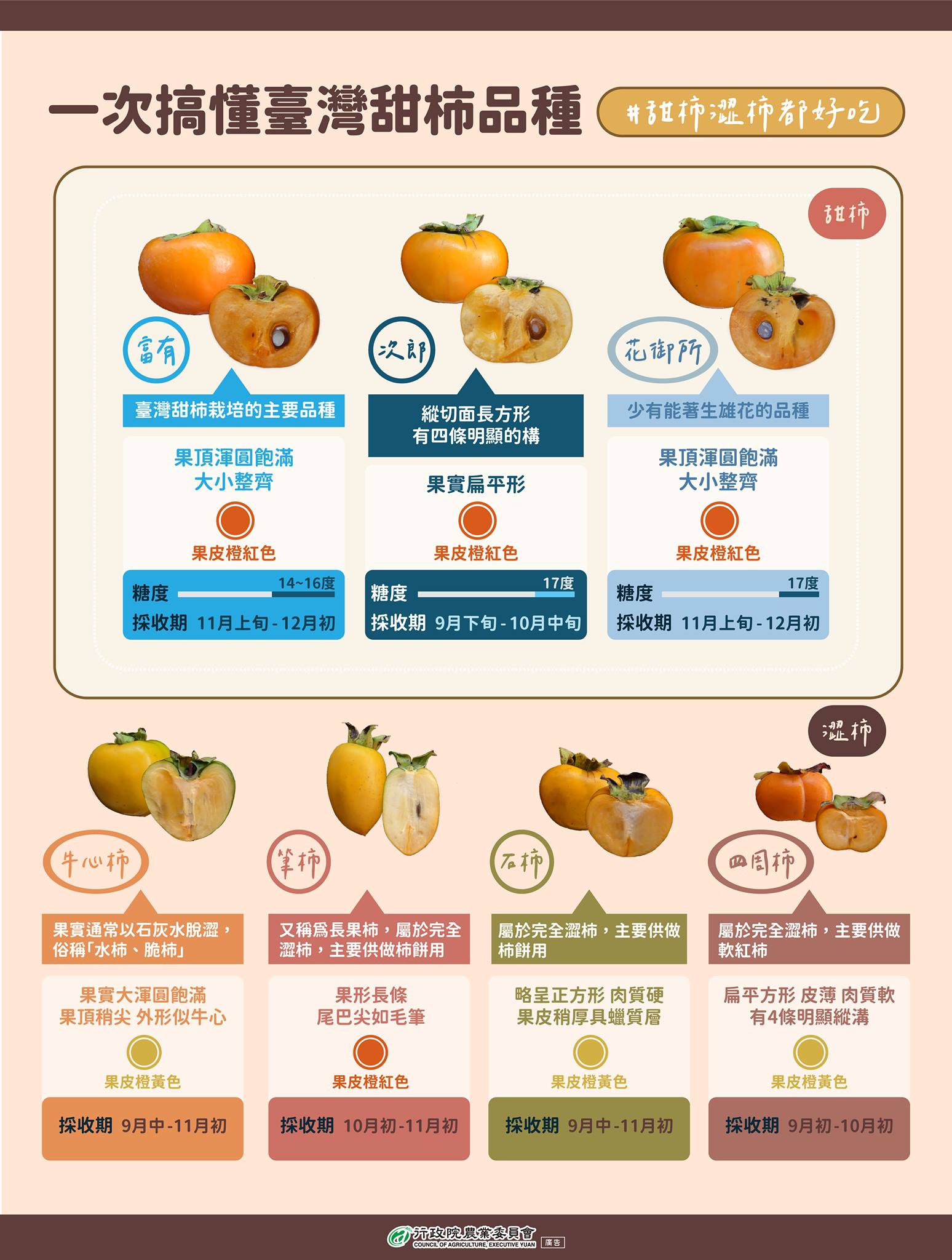 一次搞懂臺灣柿子品種