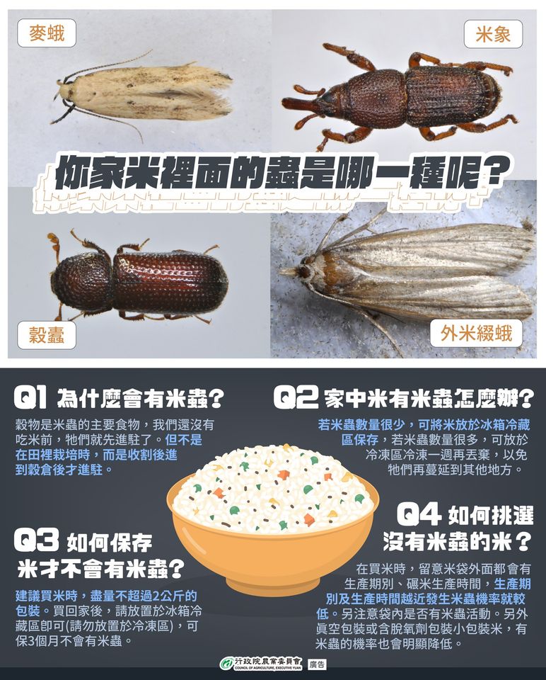 你家的米蟲是哪一種
