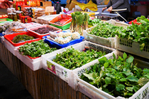 圖6.花蓮市場裡販售各式各樣原住民野菜食材，如龍葵、鵝兒腸、小洋蔥、蕗蕎和樹豆等