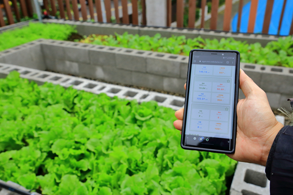 新北市永和國中校園農場運用智慧植栽照護管理系統