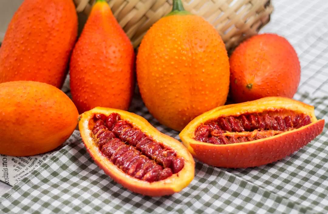 木虌果熟果剖面 主要食用部位為紅色的假種皮