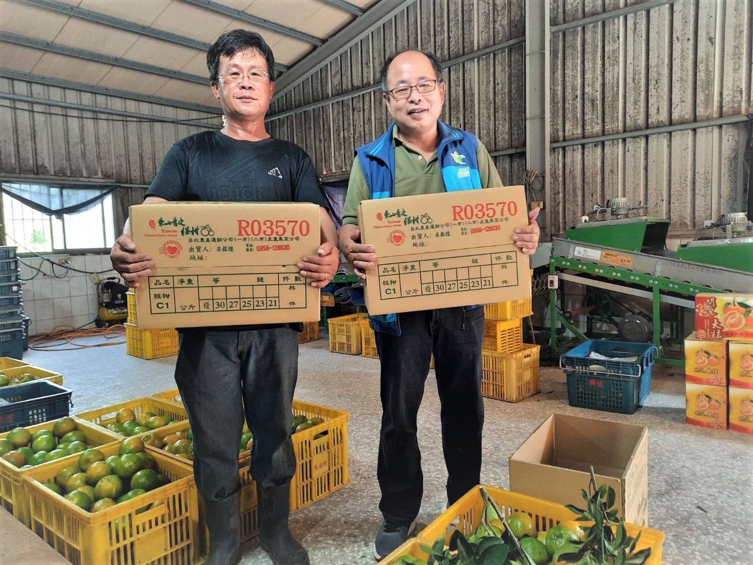 現在是青皮椪柑的產季，也是嘉南地區的特產，其中又以台南地區最早成熟，東山區最早採收。